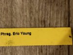 Phrag. Eric Young (besseae var. flavum x longifolium v. alba) (5" pot) - Image 7