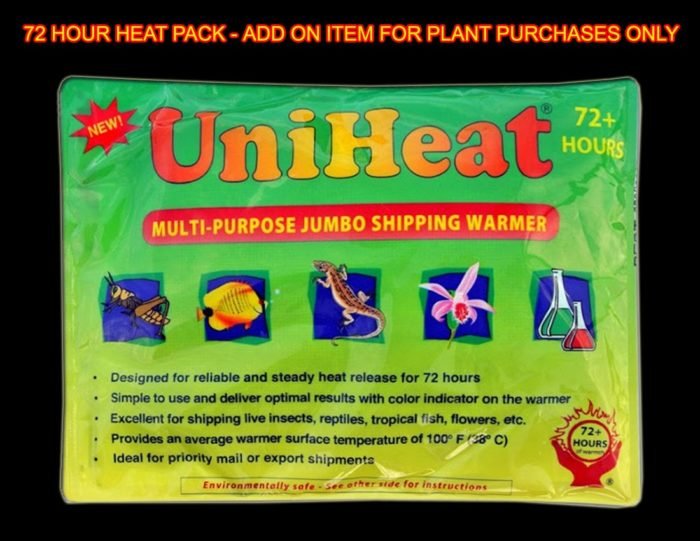 72 Hours Heat Pack - Add On Item for Plant Purchases only - Image 1