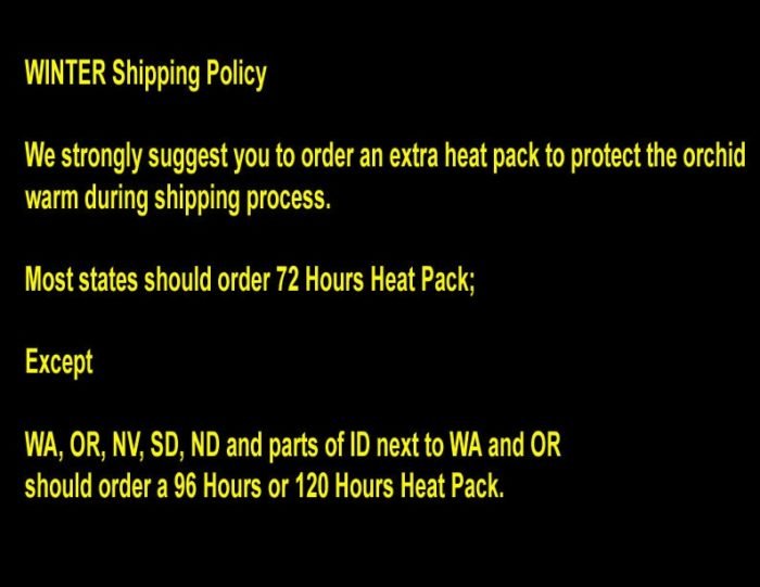 72 Hours Heat Pack - Add On Item for Plant Purchases only - Image 2