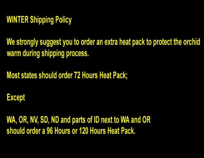 96 Hours Heat Pack - Add On Item for Plant Purchases only - Image 3