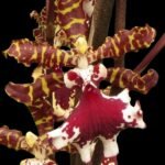 Odontocidium Everglades Elegance ‘Nancy Lee’ HCC/AOS