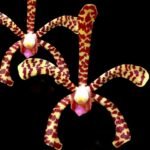 Arachnis Maggie Oei variegated (3” Pot)