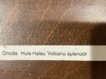 IN SPIKE Oncda. Hula Halau “Volcario Splendor’ (3.5” Pot) - Image 10