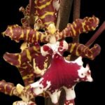 Odontocidium Everglades Elegance ‘Nancy Lee’ HCC/AOS