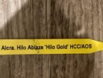 Aliceara Hilo Ablaze ‘Hilo Gold’ HCC/AOS (BS, 2.5” pot) - Image 8