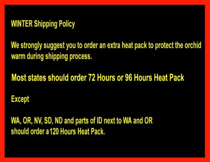 120 Hours Heat Pack - Add On Item for Plant Purchases only - Image 2