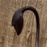 In Spike Paph. Chou-Yi Rubyiveb '2020' × Paph. Hsinying Macasar '#1' (3.5” pot)