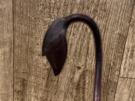 In Spike Paph. Chou-Yi Rubyiveb '2020' × Paph. Hsinying Macasar '#1' (3.5” pot)