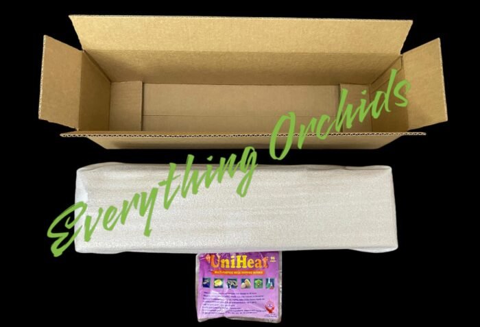 96 Hours Heat Pack + Foam + Double Carton - Add On Item - Image 1