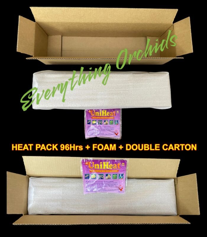 96 Hours Heat Pack + Foam + Double Carton - Add On Item - Image 2