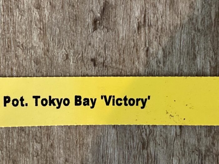 In Sheath Pot. Tokyo Bay "Victory'’ (3.5” pot) - Image 7