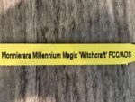 Monnierara Millennium Magic ‘Witchcraft’ - Black Orchid (2.25” Pot) - Image 9