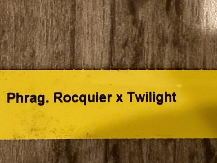 Phrag. Rocquier × Twilight (4” Pot) - Image 6