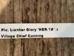Rlc.. Lianher Glory 'HER-TA' x Rlc. Village Chief Cunning (3.5” Pot) - Image 5