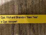 Cycnoches Richard Brandon 'New Year' × Cyc. cooperi (2.25” pot) - Image 9