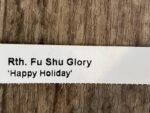 In Sheath Rth. Fu Shu Glory 'Happy Holiday' (5” pot) - Image 10