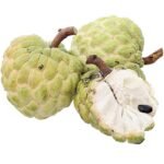 Sugar Apple Live Fruit Tree 32" Tall (6” Pot) - Image 2