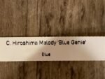 Cattleya Hiroshima Melody 'Blue Genie' (2” pot) - Image 6