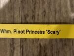 IN SPIKE DeGarmoara Pinot Princess 'Scary' (3.5" pot) - Image 10