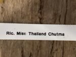 RIc. Miss Thailand Chutma (3.5” pot) - Image 6
