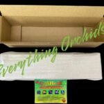 72 Hours Heat Pack + Foam + Double Carton - Add On Item