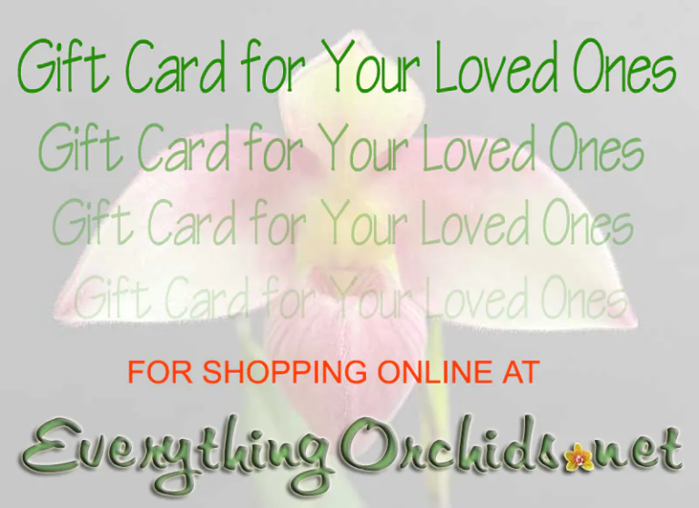 Everything Orchids EGiftCard