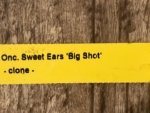 Oncidium Sweet Ears 'Big Shot (3.5” Pot) - Image 6