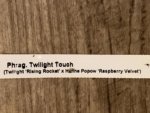 Phrag. Twilight Touch (Twllight 'Rising Rocket' x Hanne Popow 'Raspberry Velvet') (4” Pot) - Image 7