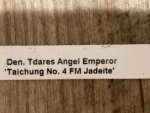 Dendrobium Tdares Angel Emperor "Taichung No. 4 FM Jadeite” (4” pot) - Image 12