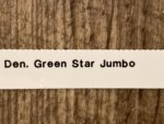 Dendrobium Green Star Jumbo (2” pot) - Image 9