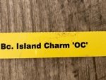 Bc. Island Charm (3.5” pot) - Image 7