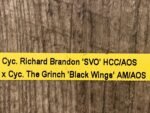 In Spike Cycnoches Richard Brandon 'SVO'  x Cyc. The Grinch 'Black Wings' AM/AOS (2” pot) - Image 6
