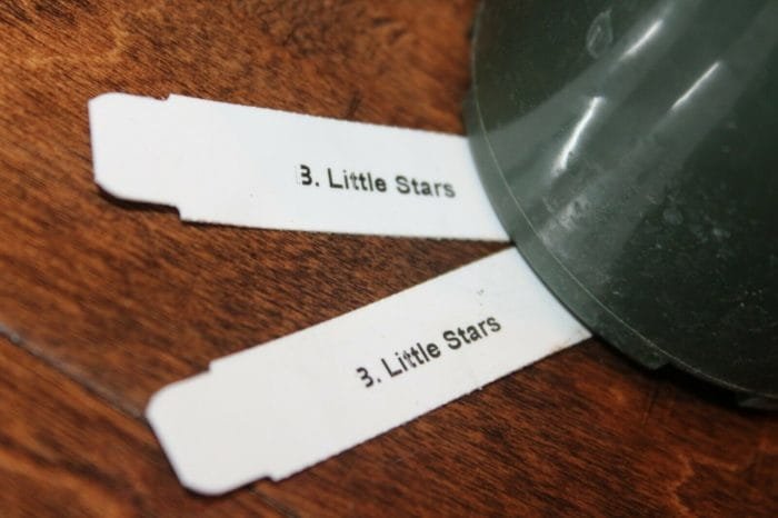 B. Little Stars (4" pot) - Image 7